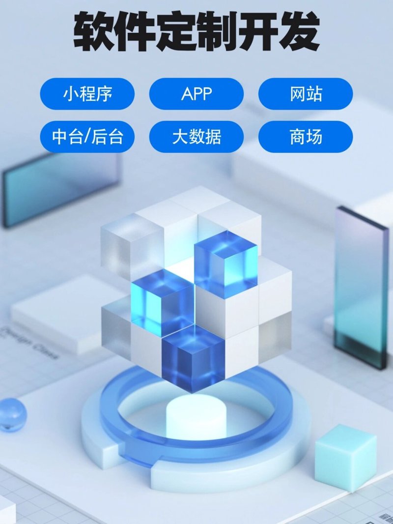 软件开发：数字世界的构建师